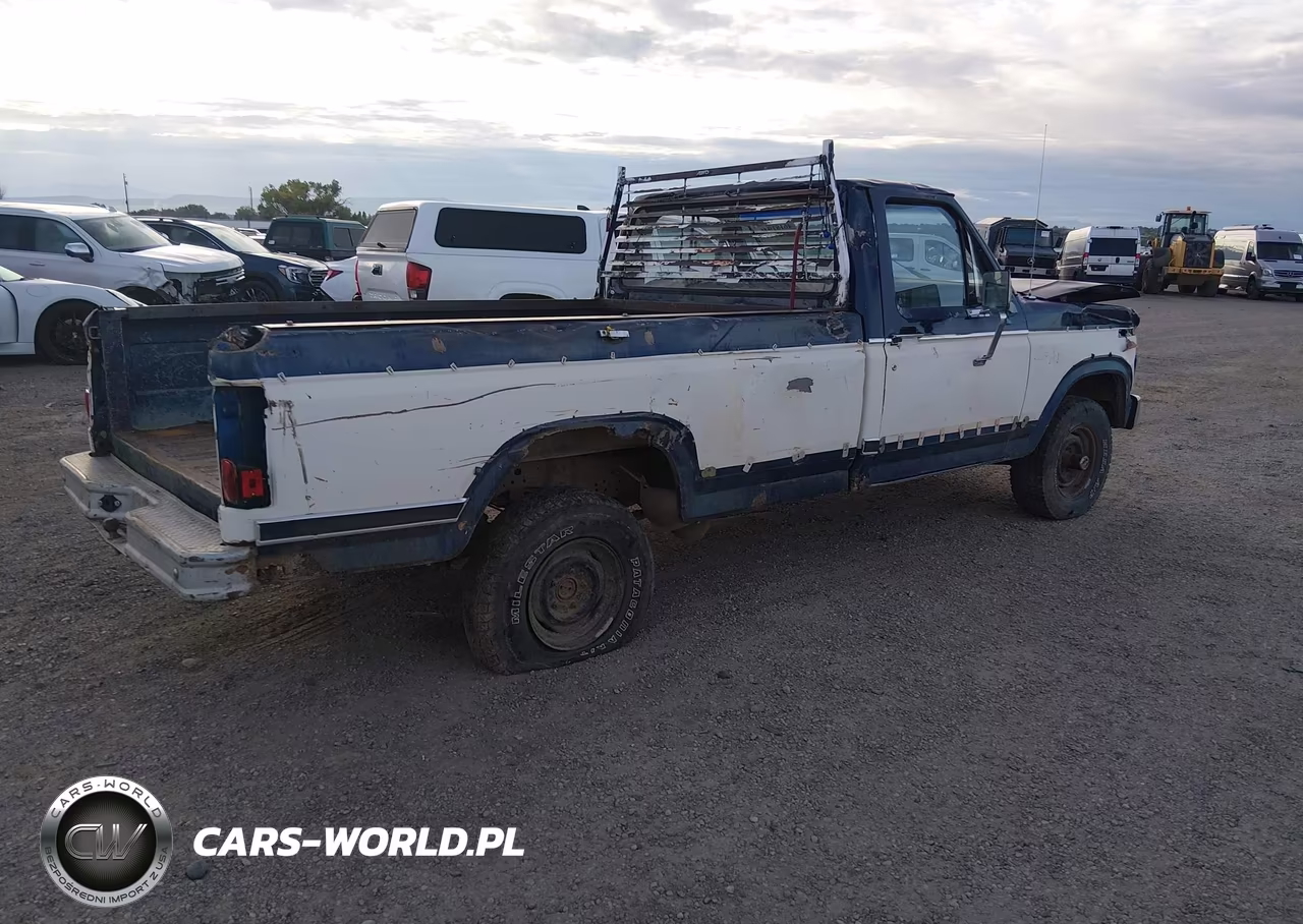1981 Ford F150 VIN:1FTDF14E8BPA76846 - 4