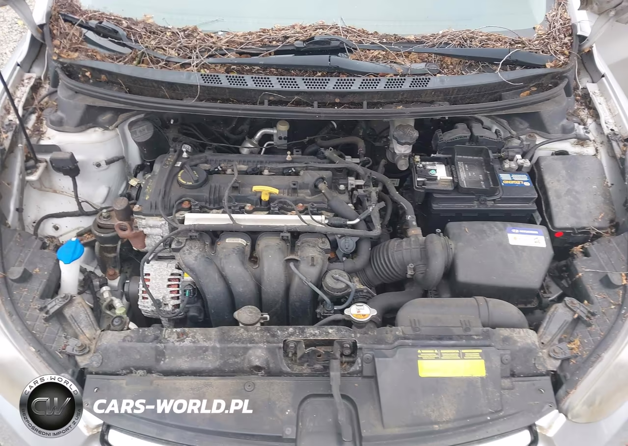 2013 Hyundai Elantra Limited VIN:KMHDH4AE9DU865250 - 10