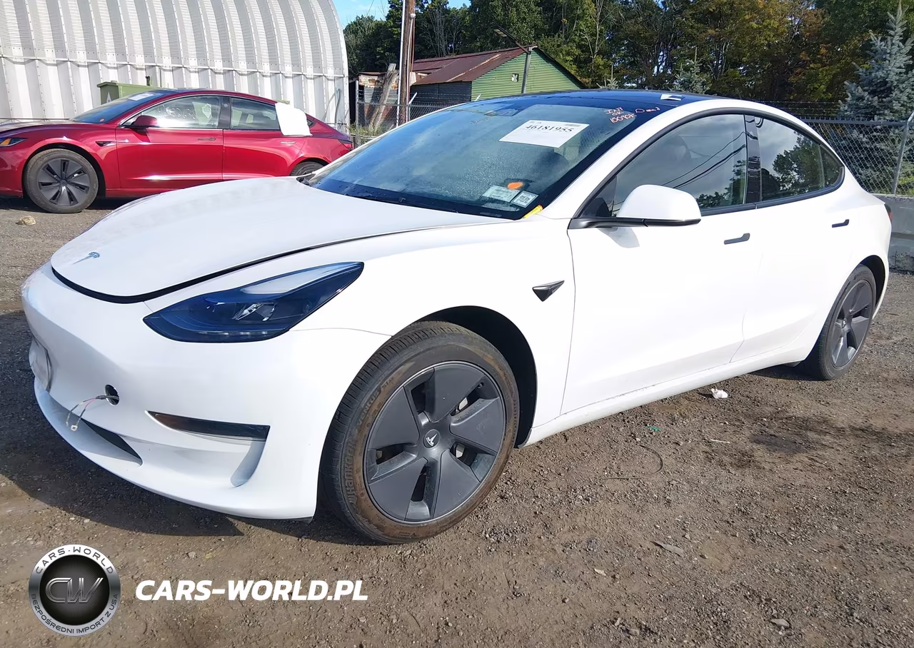 2023 Tesla Model 3 Rear-Wheel Drive VIN:5YJ3E1EA3PF640365 - 2