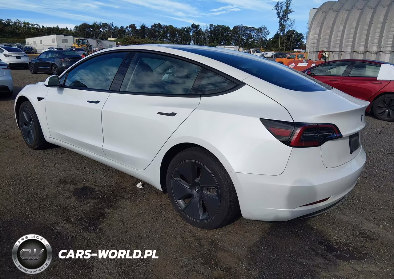 2023 Tesla Model 3 Rear-Wheel Drive VIN:5YJ3E1EA3PF640365 - 3
