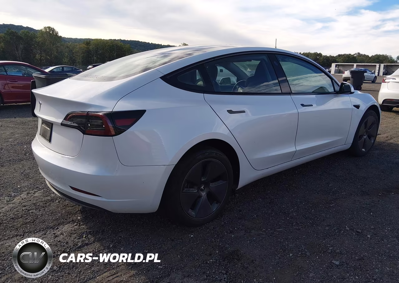 2023 Tesla Model 3 Rear-Wheel Drive VIN:5YJ3E1EA3PF640365 - 4