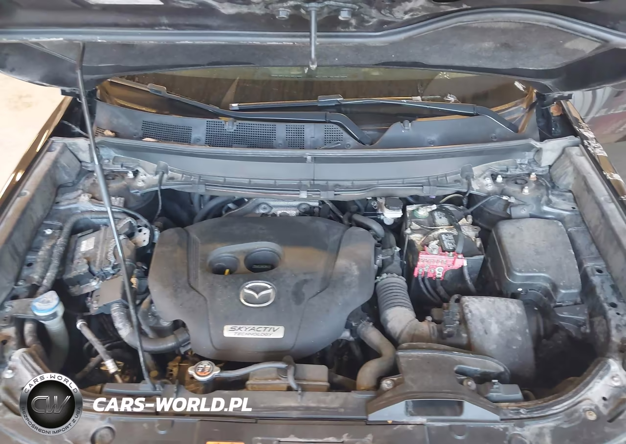 2016 Mazda Cx-9 Touring VIN:JM3TCACY5G0124326 - 10