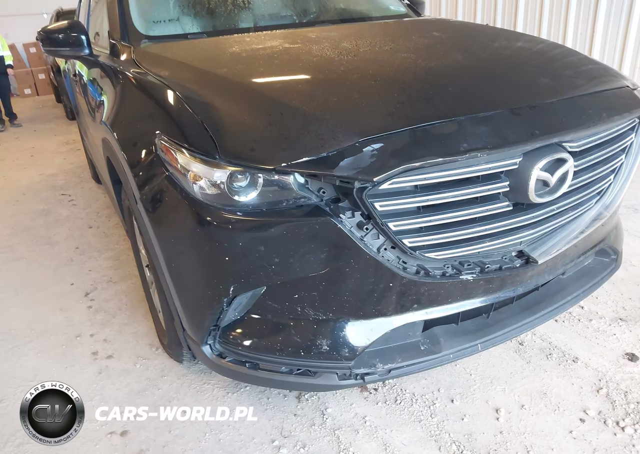 2016 Mazda Cx-9 Touring VIN:JM3TCACY5G0124326 - 6