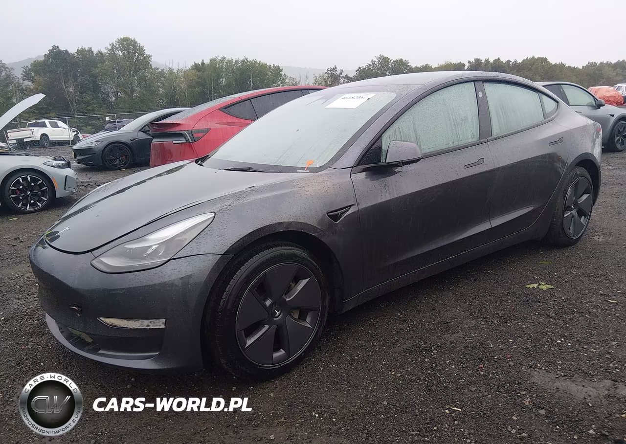 2023 Tesla Model 3 Rear-Wheel Drive VIN:5YJ3E1EA6PF640165 - 2