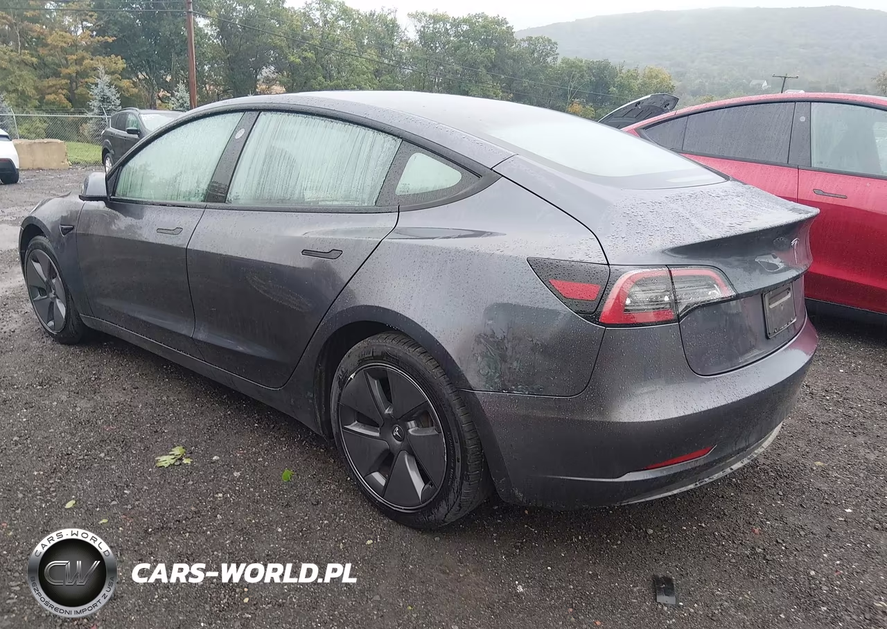 2023 Tesla Model 3 Rear-Wheel Drive VIN:5YJ3E1EA6PF640165 - 3