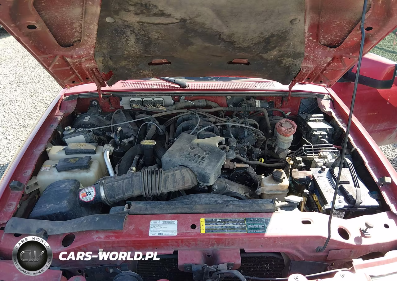 2009 Ford Ranger Sport-Xl-Xlt VIN:1FTYR14E69PA24411 - 10