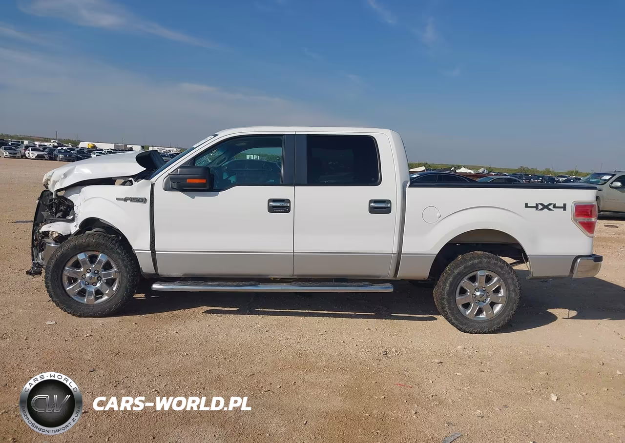 2014 Ford F-150 Xlt VIN:1FTFW1EF9EFA28783 - 14