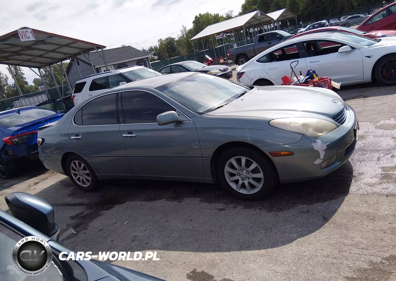 2002 Lexus Es 300 VIN:JTHBF30G820014106 - 13
