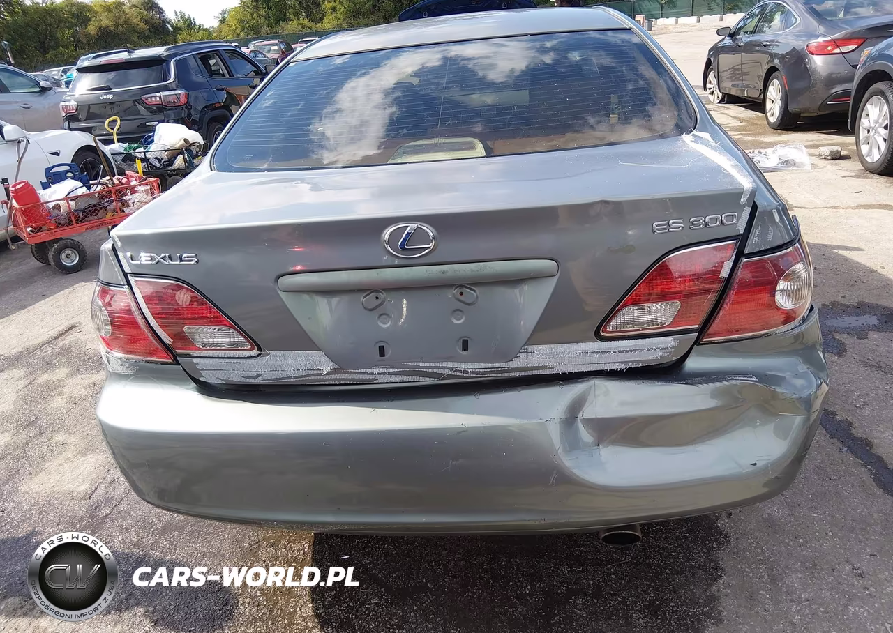 2002 Lexus Es 300 VIN:JTHBF30G820014106 - 16