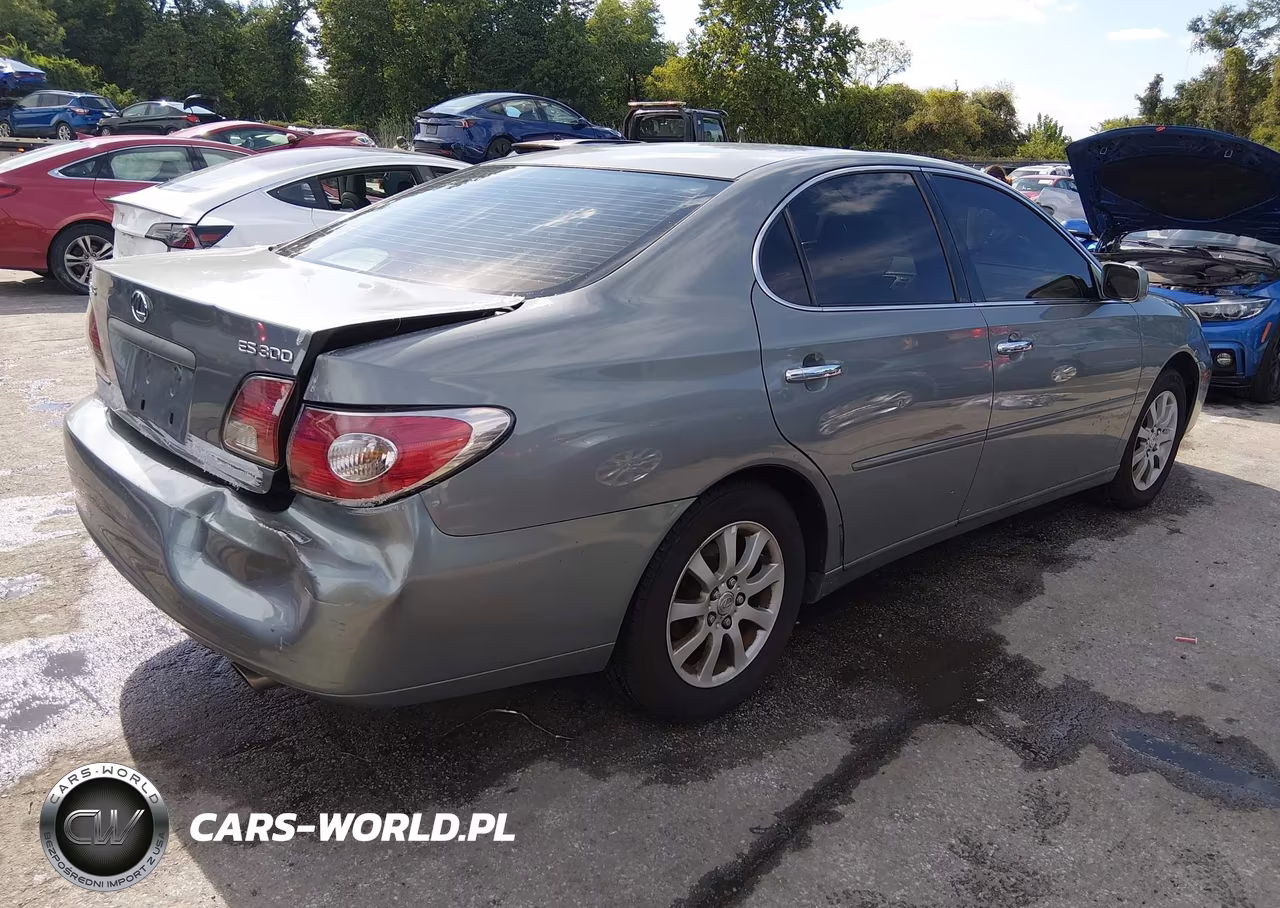 2002 Lexus Es 300 VIN:JTHBF30G820014106 - 4