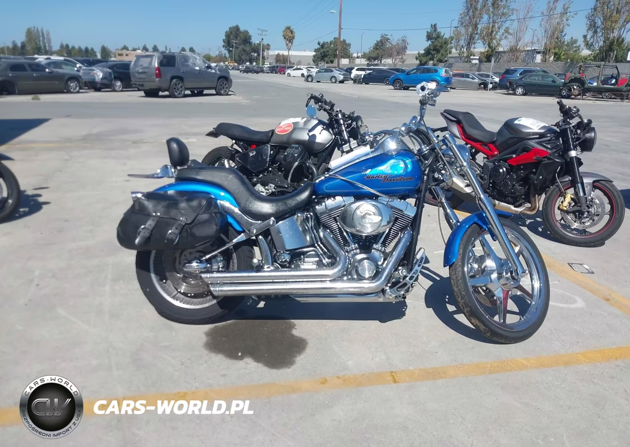 2004 Harley-Davidson Fxstdi VIN:1HD1JBB374Y017114 - 11