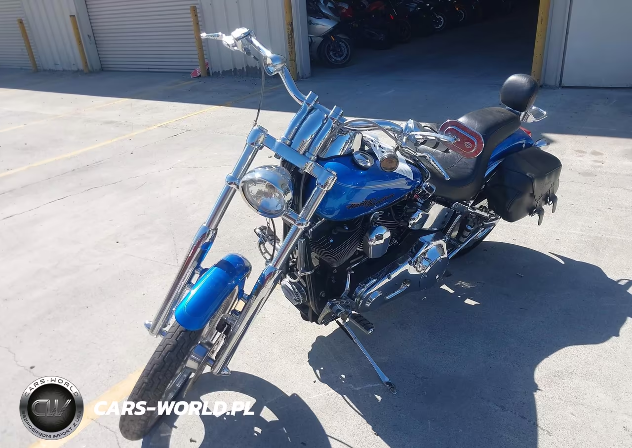 2004 Harley-Davidson Fxstdi VIN:1HD1JBB374Y017114 - 2