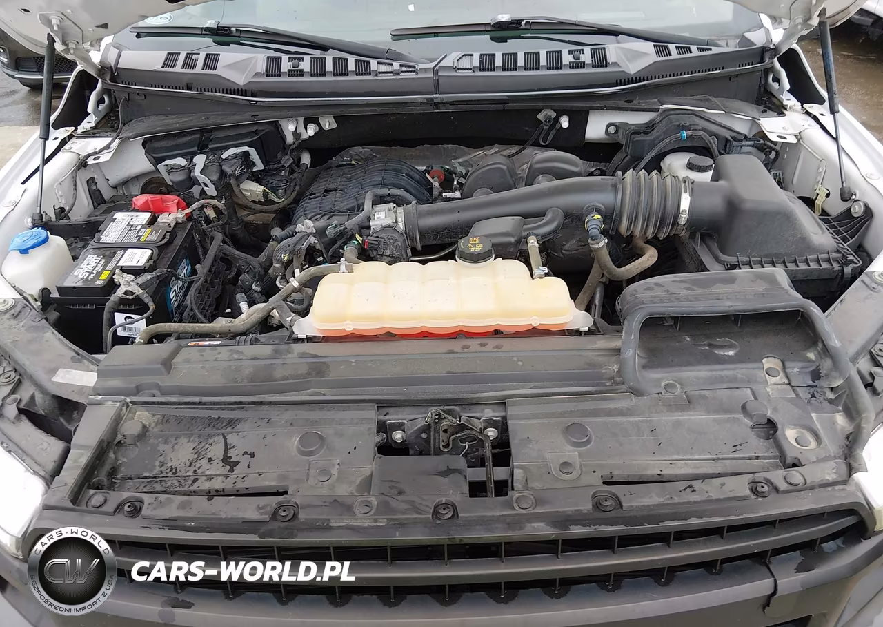 2019 Ford F-150 Xl VIN:1FTEW1EB3KKC24827 - 10