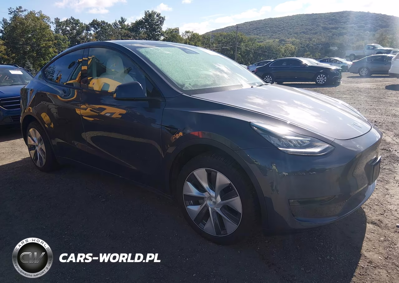 2023 Tesla Model Y Awd-Long Range Dual Motor All-Wheel Drive VIN:7SAYGDEE1PA123098 - 1