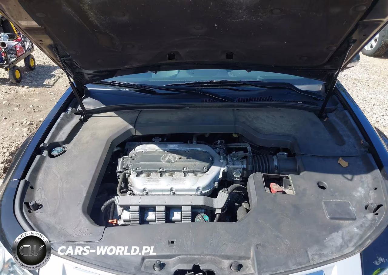 2010 Acura Tl 3.5 VIN:19UUA8F29AA010237 - 10