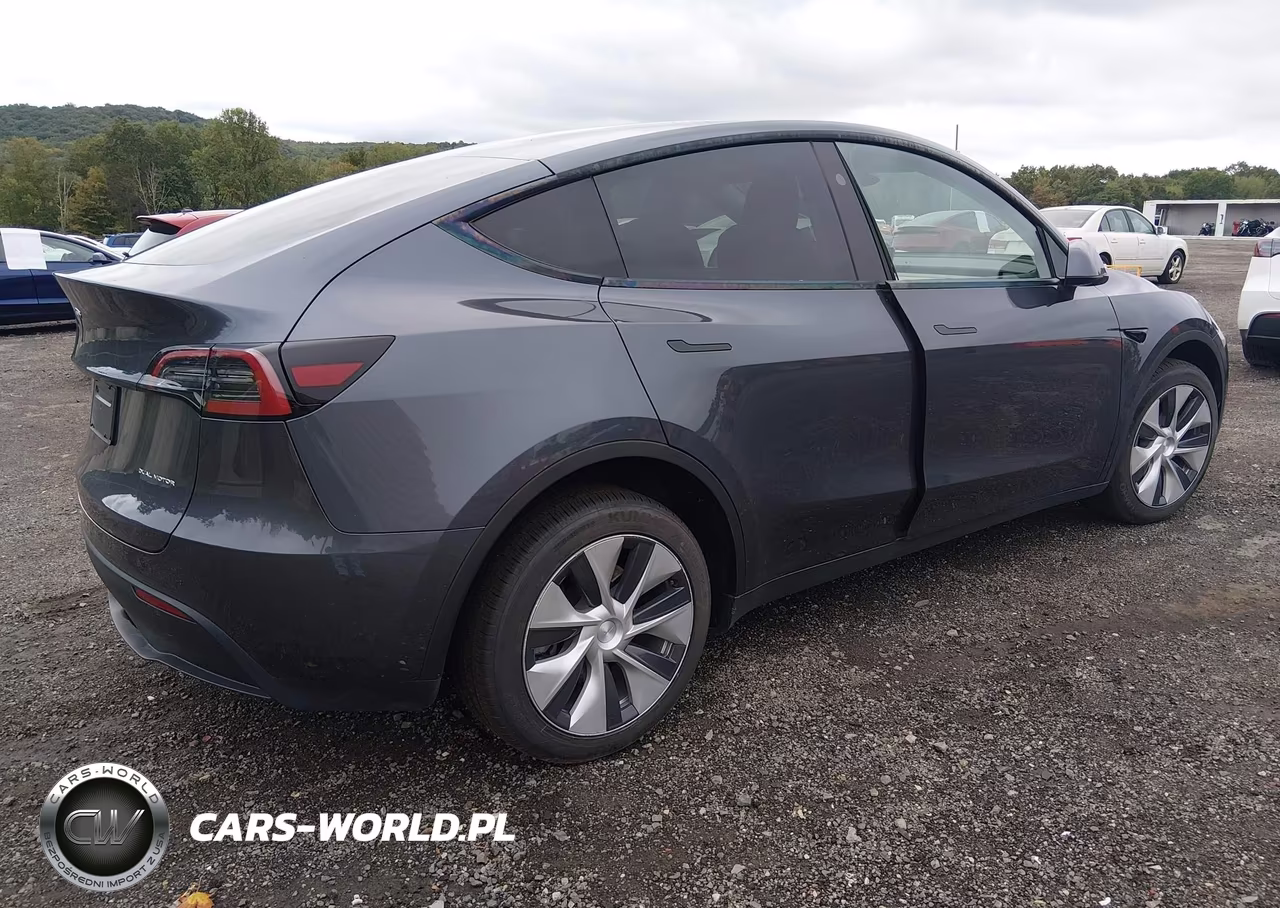 2023 Tesla Model Y Awd-Long Range Dual Motor All-Wheel Drive VIN:7SAYGDEE4PF839898 - 4