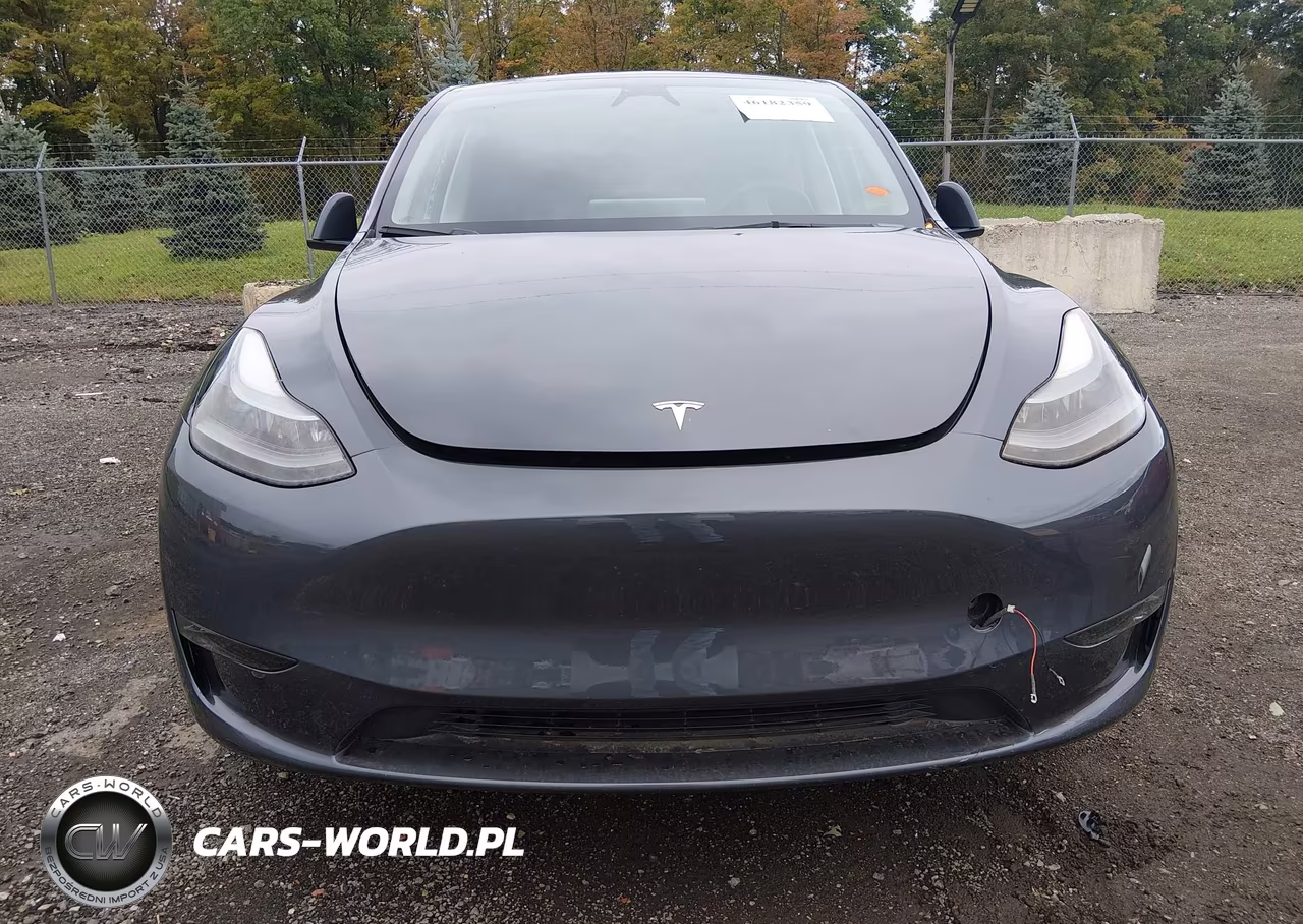 2023 Tesla Model Y Awd-Long Range Dual Motor All-Wheel Drive VIN:7SAYGDEE4PF839898 - 6