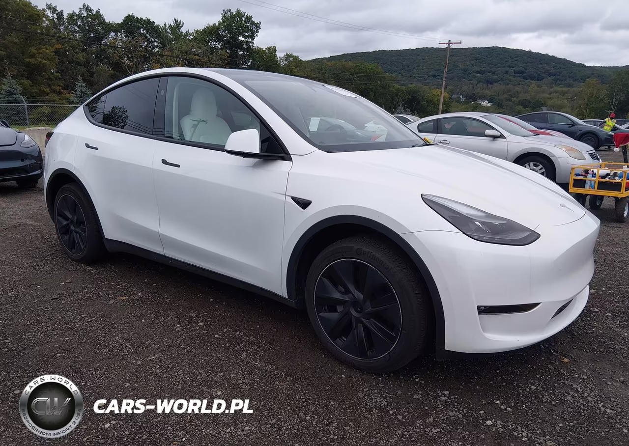 2025 Tesla Model Y Long Range Dual Motor All-Wheel Drive