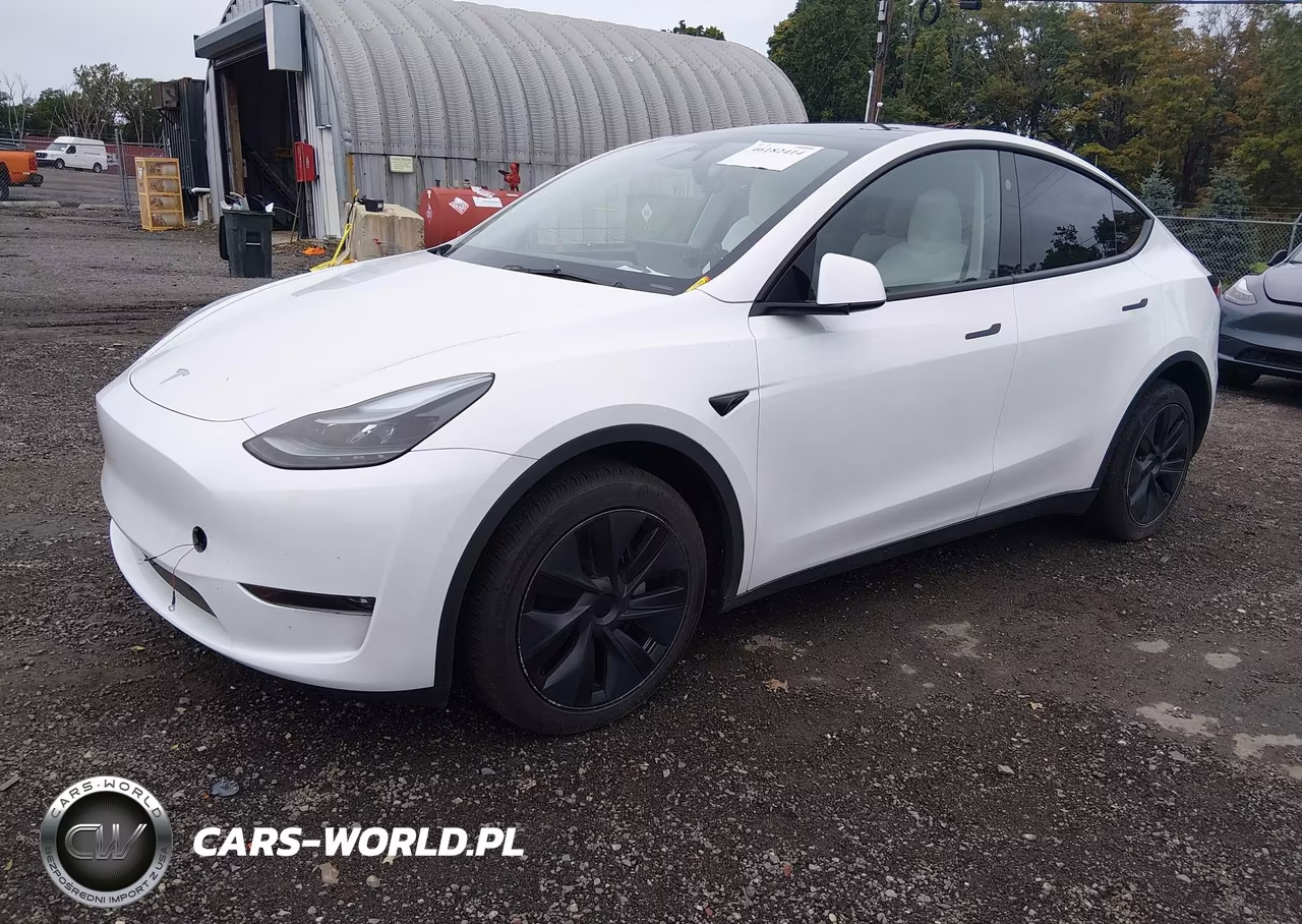 2025 Tesla Model Y Long Range Dual Motor All-Wheel Drive VIN:7SAYGDEE7SF241751 - 2