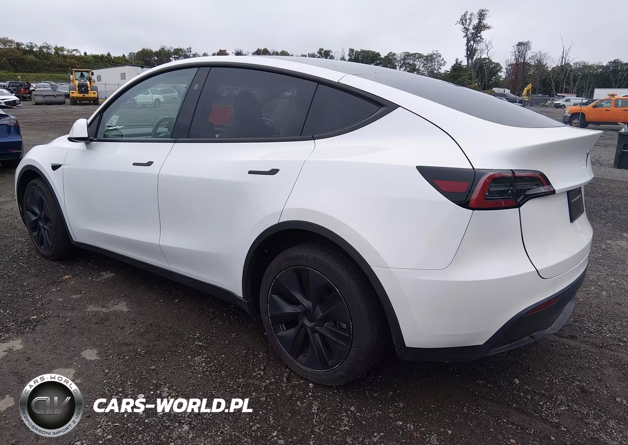 2025 Tesla Model Y Long Range Dual Motor All-Wheel Drive VIN:7SAYGDEE7SF241751 - 3