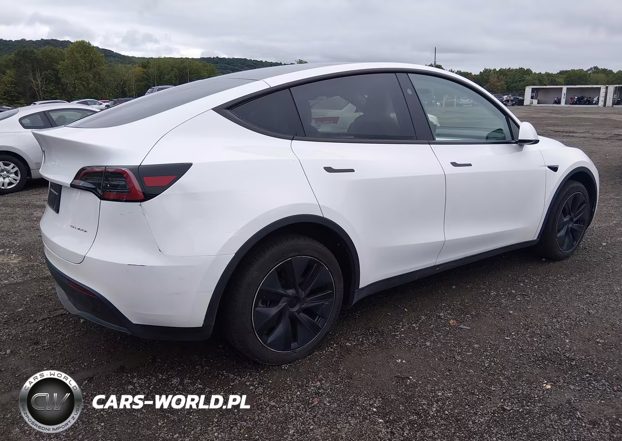 2025 Tesla Model Y Long Range Dual Motor All-Wheel Drive VIN:7SAYGDEE7SF241751 - 4