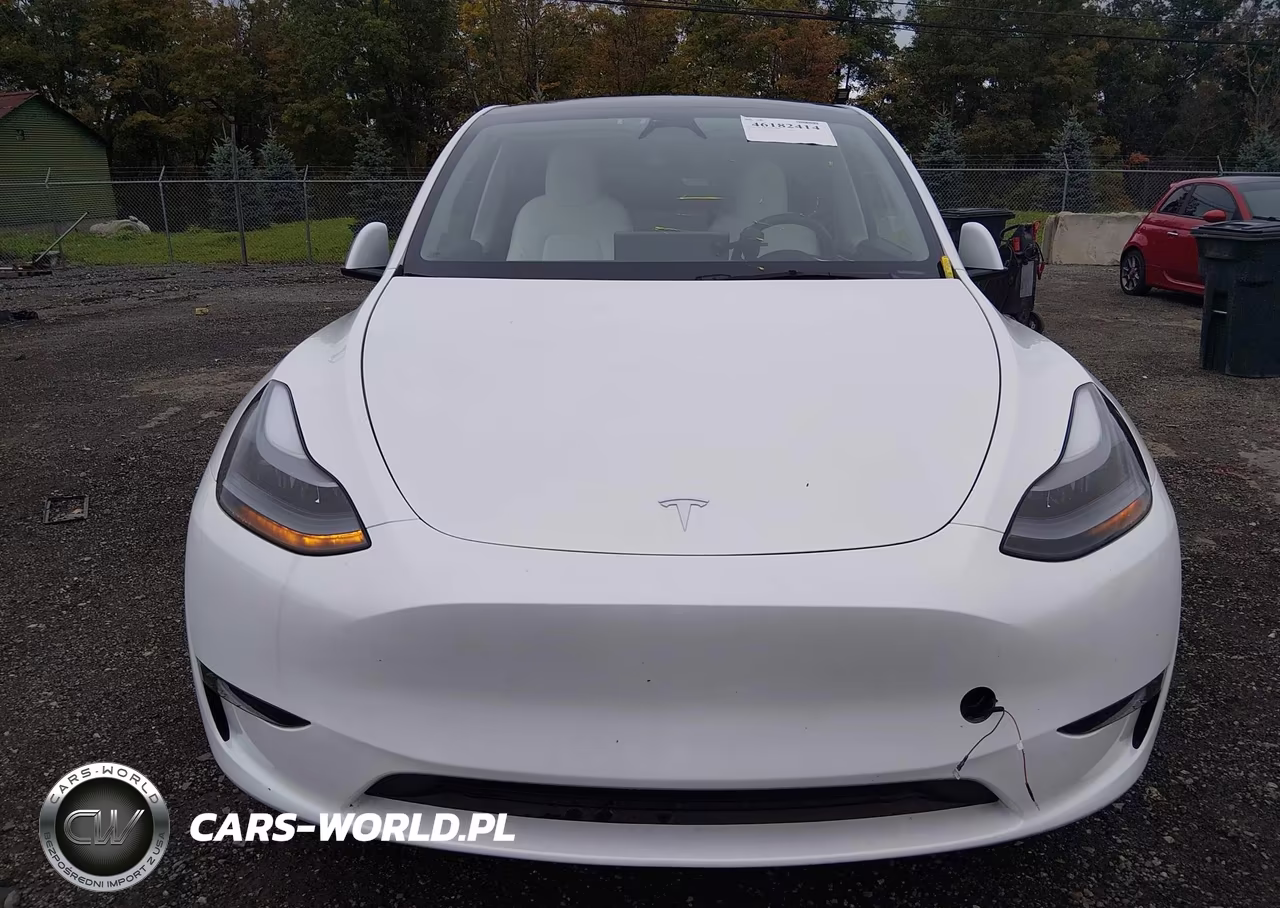 2025 Tesla Model Y Long Range Dual Motor All-Wheel Drive VIN:7SAYGDEE7SF241751 - 6