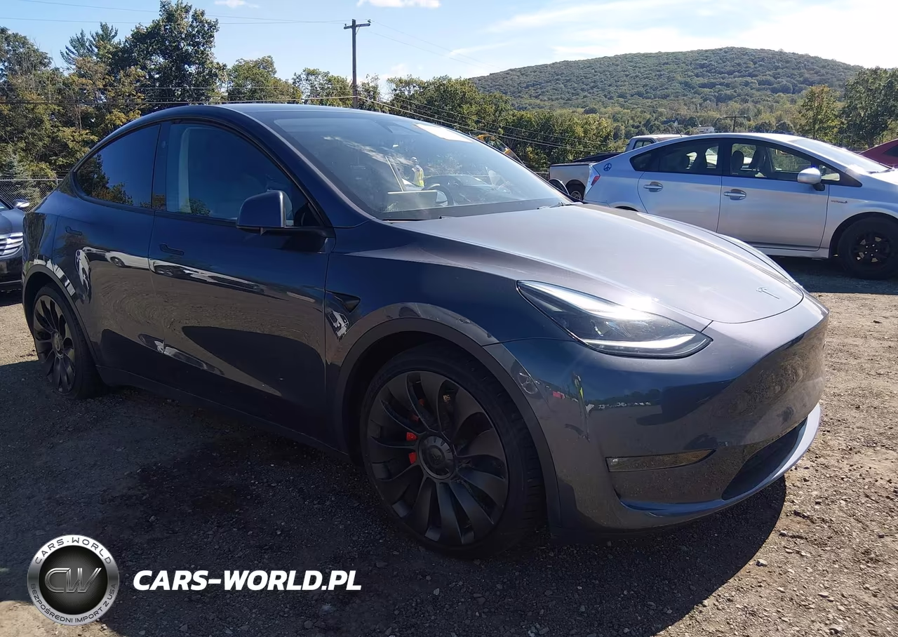 2023 Tesla Model Y Performance Dual Motor All-Wheel Drive VIN:7SAYGDEF1PF863939 - 1