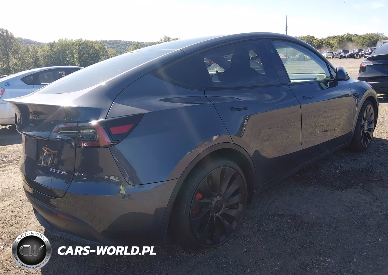 2023 Tesla Model Y Performance Dual Motor All-Wheel Drive VIN:7SAYGDEF1PF863939 - 4