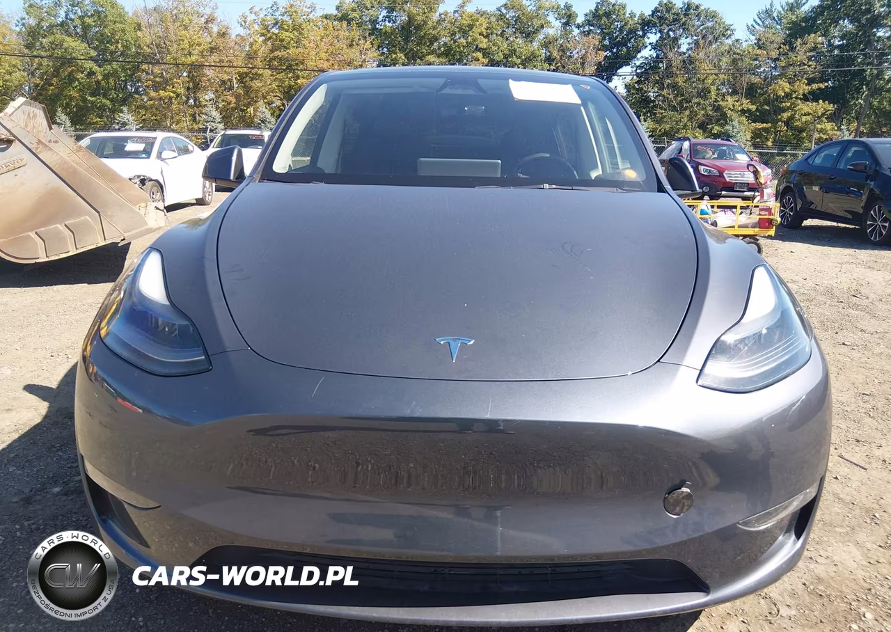 2023 Tesla Model Y Performance Dual Motor All-Wheel Drive VIN:7SAYGDEF1PF863939 - 6
