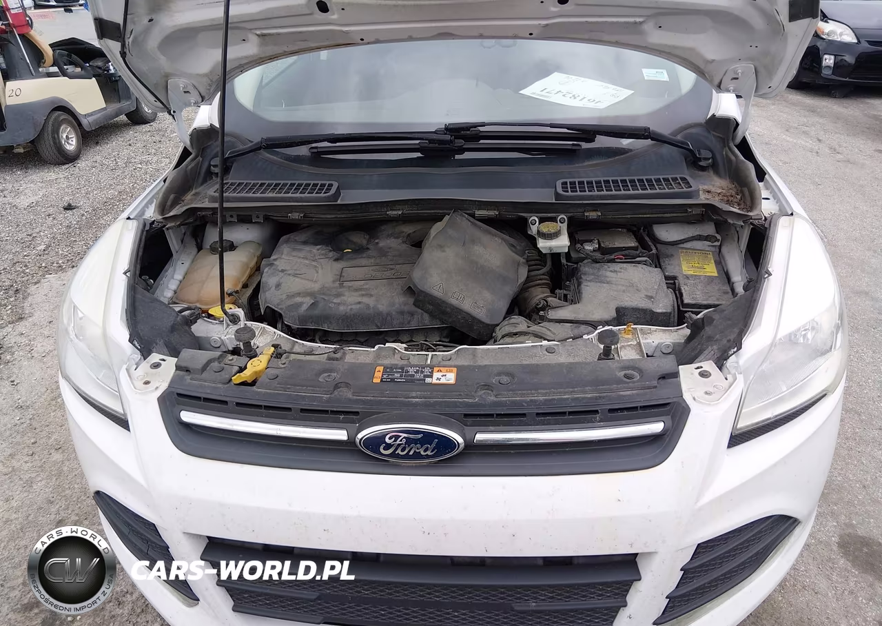 2016 Ford Escape Se VIN:1FMCU0G91GUA73396 - 10