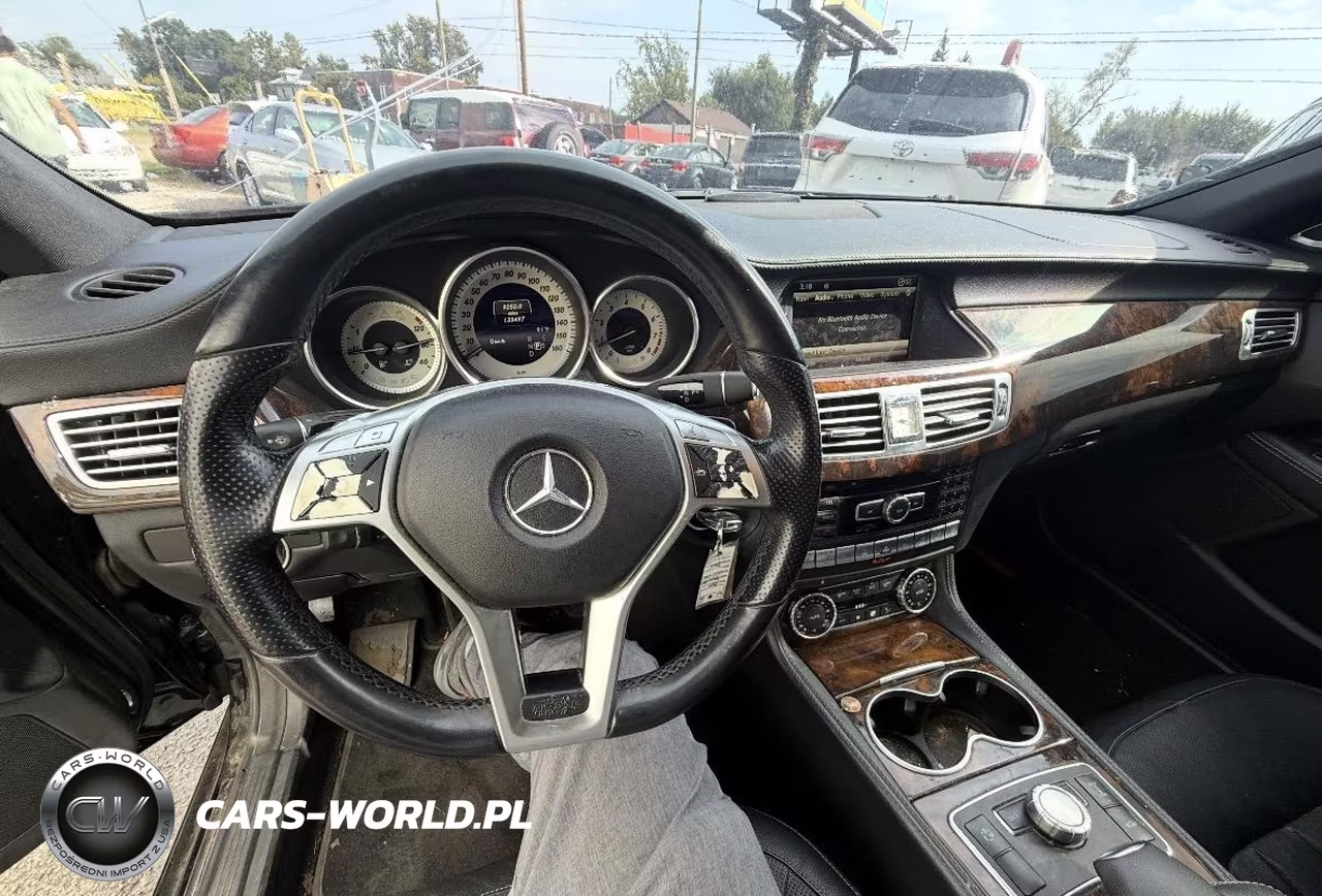 2014 Mercedes-Benz Cls 550 VIN:WDDLJ7DBXEA095091 - 11