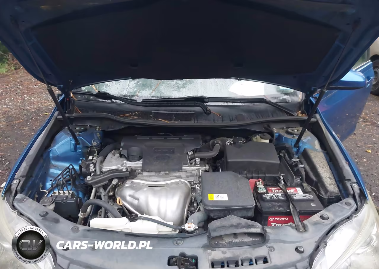 2017 Toyota Camry Se VIN:4T1BF1FK0HU703362 - 10