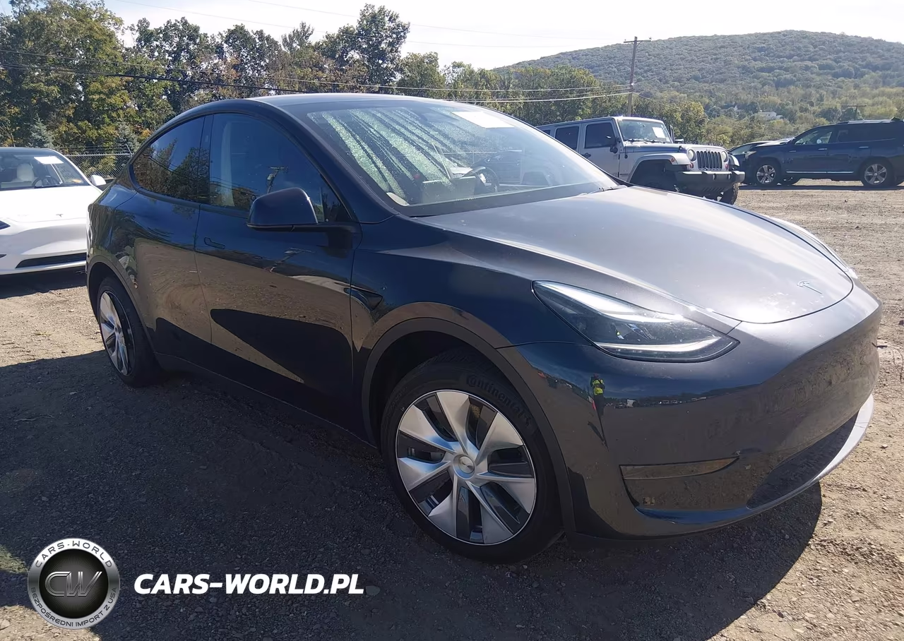 2024 Tesla Model Y Long Range Single Motor Rear-Wheel Drive-Rwd VIN:7SAYGDED0RF091709 - 1