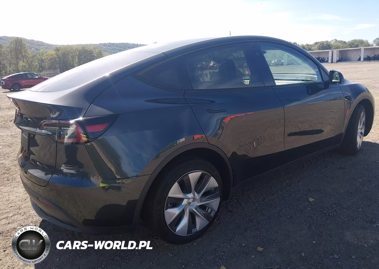 2024 Tesla Model Y Long Range Single Motor Rear-Wheel Drive-Rwd VIN:7SAYGDED0RF091709 - 4