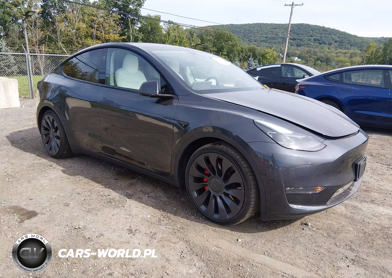 2024 Tesla Model Y Performance Dual Motor All-Wheel Drive VIN:7SAYGDEF3RA266159 - 1