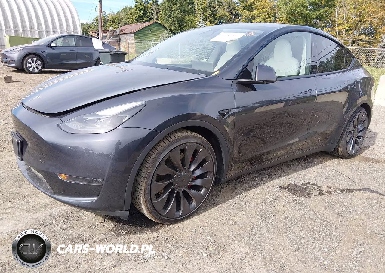 2024 Tesla Model Y Performance Dual Motor All-Wheel Drive VIN:7SAYGDEF3RA266159 - 2