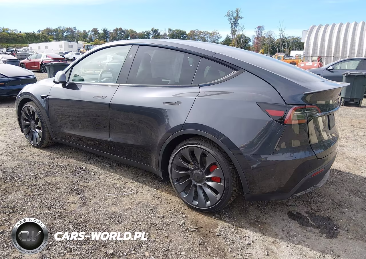 2024 Tesla Model Y Performance Dual Motor All-Wheel Drive VIN:7SAYGDEF3RA266159 - 3