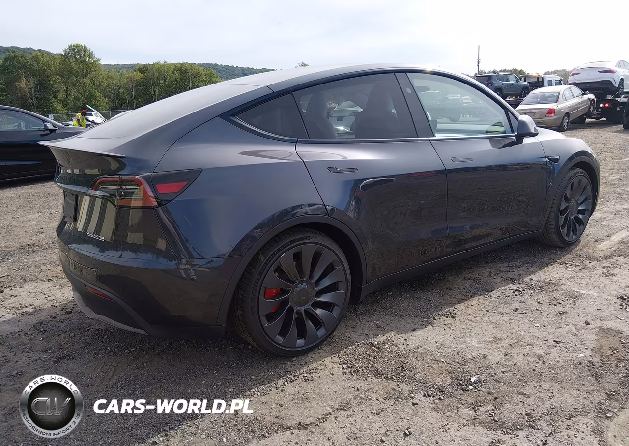 2024 Tesla Model Y Performance Dual Motor All-Wheel Drive VIN:7SAYGDEF3RA266159 - 4