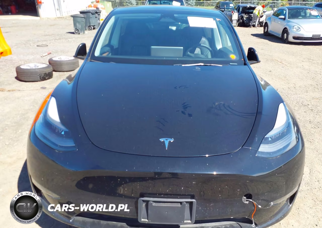 2024 Tesla Model Y Long Range Dual Motor All-Wheel Drive VIN:7SAYGDEE0RA225740 - 10