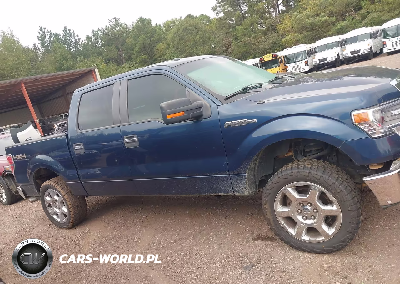 2014 Ford F-150 Xlt VIN:1FTFW1EF8EKE29183 - 13
