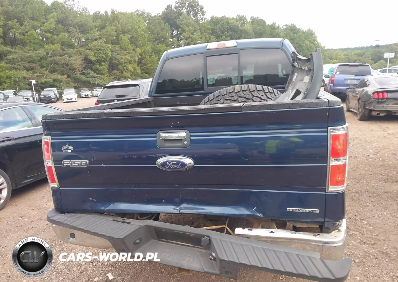 2014 Ford F-150 Xlt VIN:1FTFW1EF8EKE29183 - 16