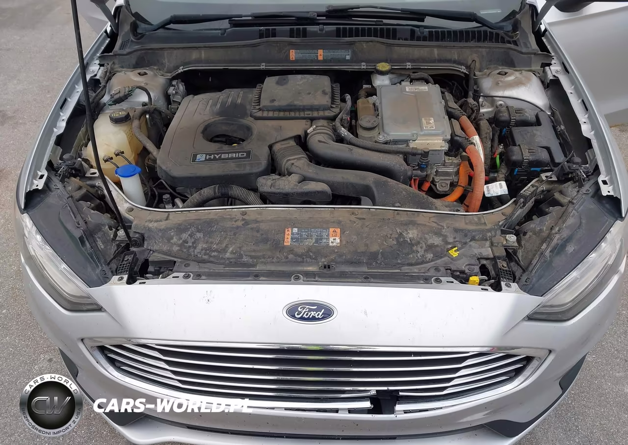 2019 Ford Fusion Hybrid Se VIN:3FA6P0LU9KR188031 - 10