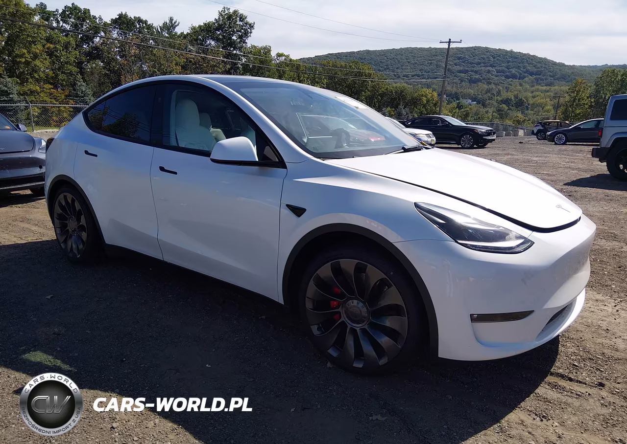 2023 Tesla Model Y Performance Dual Motor All-Wheel Drive VIN:7SAYGDEF8PF841100 - 1