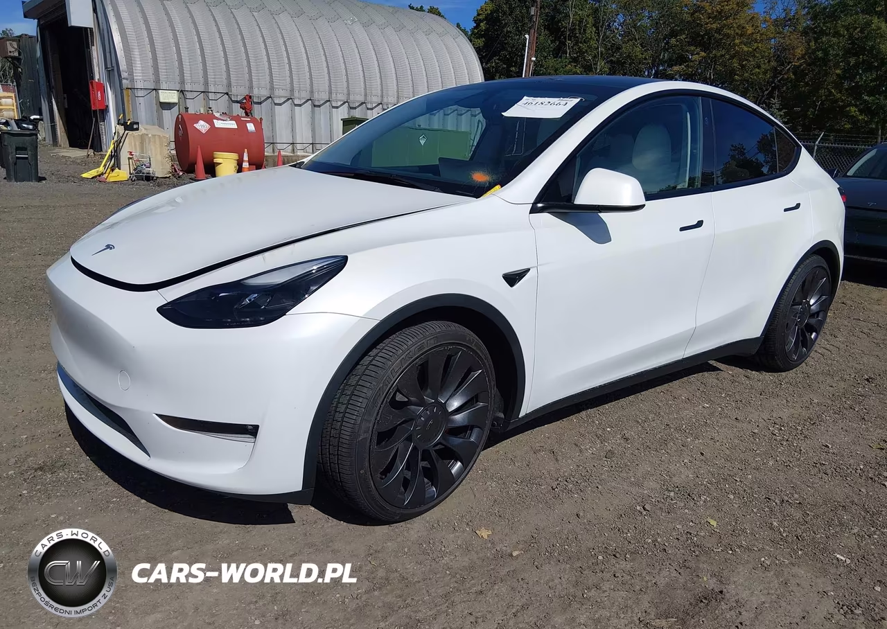2023 Tesla Model Y Performance Dual Motor All-Wheel Drive VIN:7SAYGDEF8PF841100 - 2