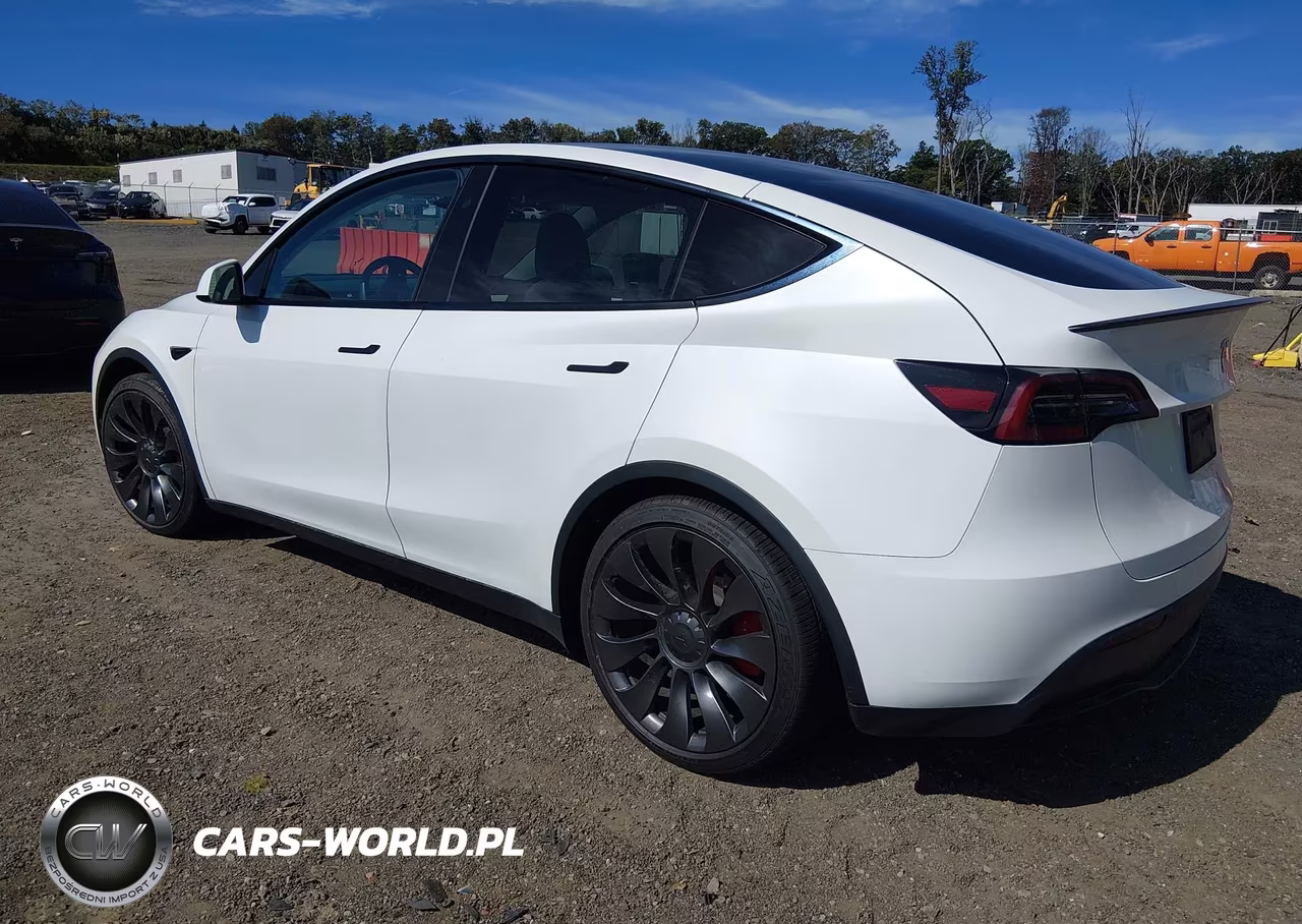2023 Tesla Model Y Performance Dual Motor All-Wheel Drive VIN:7SAYGDEF8PF841100 - 3