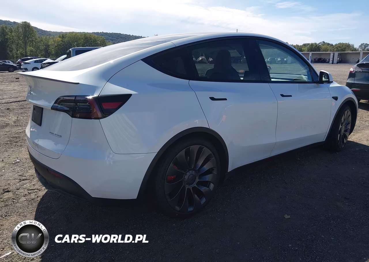 2023 Tesla Model Y Performance Dual Motor All-Wheel Drive VIN:7SAYGDEF8PF841100 - 4
