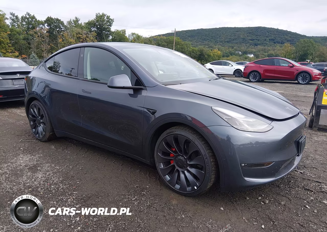 2023 Tesla Model Y Performance Dual Motor All-Wheel Drive VIN:7SAYGDEF7PF824885 - 1