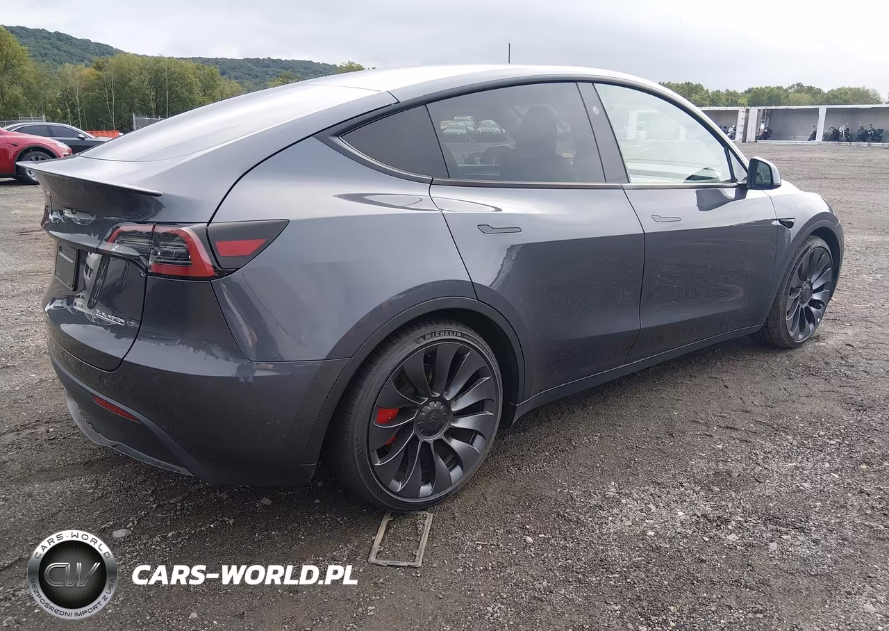 2023 Tesla Model Y Performance Dual Motor All-Wheel Drive VIN:7SAYGDEF7PF824885 - 4