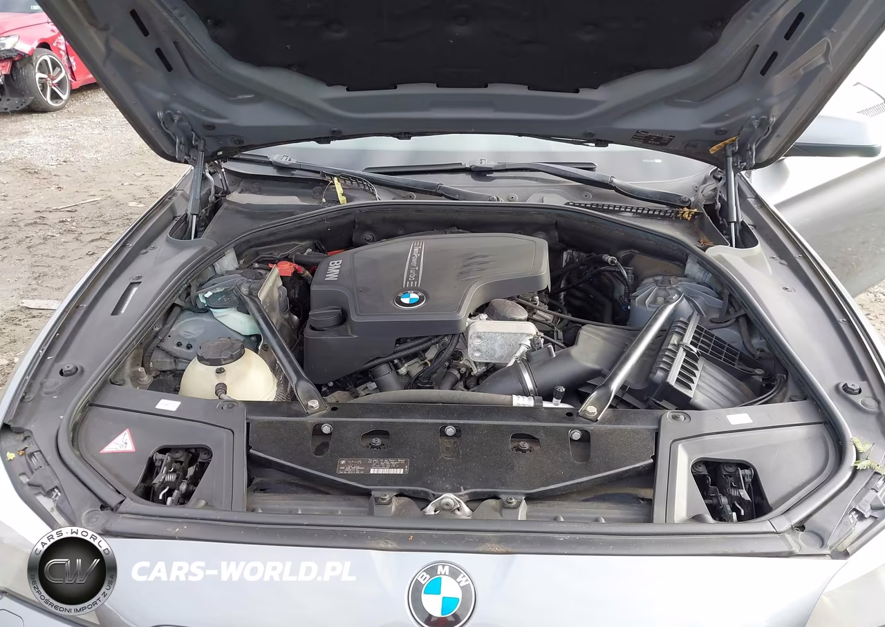 2013 BMW 528I xDrive VIN:WBAXH5C57DD114181 - 10