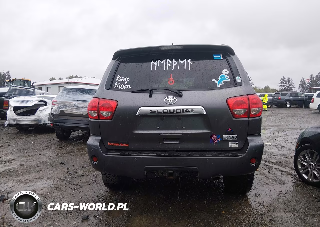 2016 Toyota Sequoia Platinum 5.7L V8 VIN:5TDDY5G12GS136644 - 16